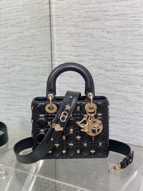 Dior top-grade original single-piece set with original packaging Lady's latest limited edition dragonfly-studded princess bag